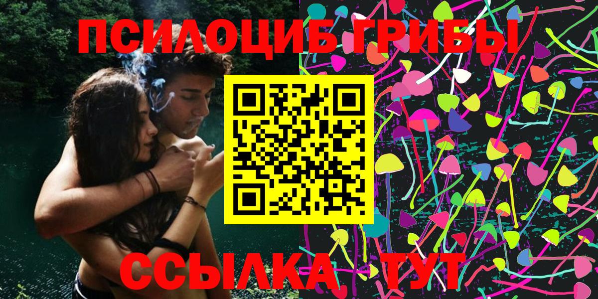 Галлюциногенные грибы Magic Shrooms  Елизово  Псилоцибиновые грибы прущие грибы 